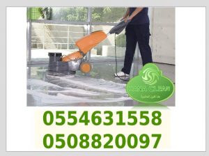rhiayd cleaning services 