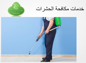 مكافحة حشرات - شركات رش مبيد