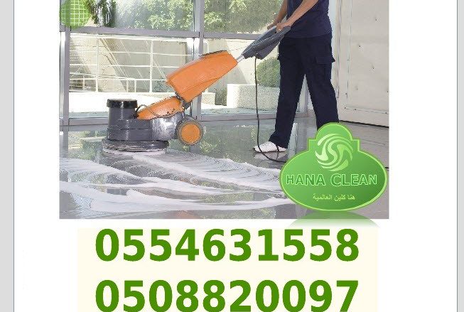 rhiayd cleaning services